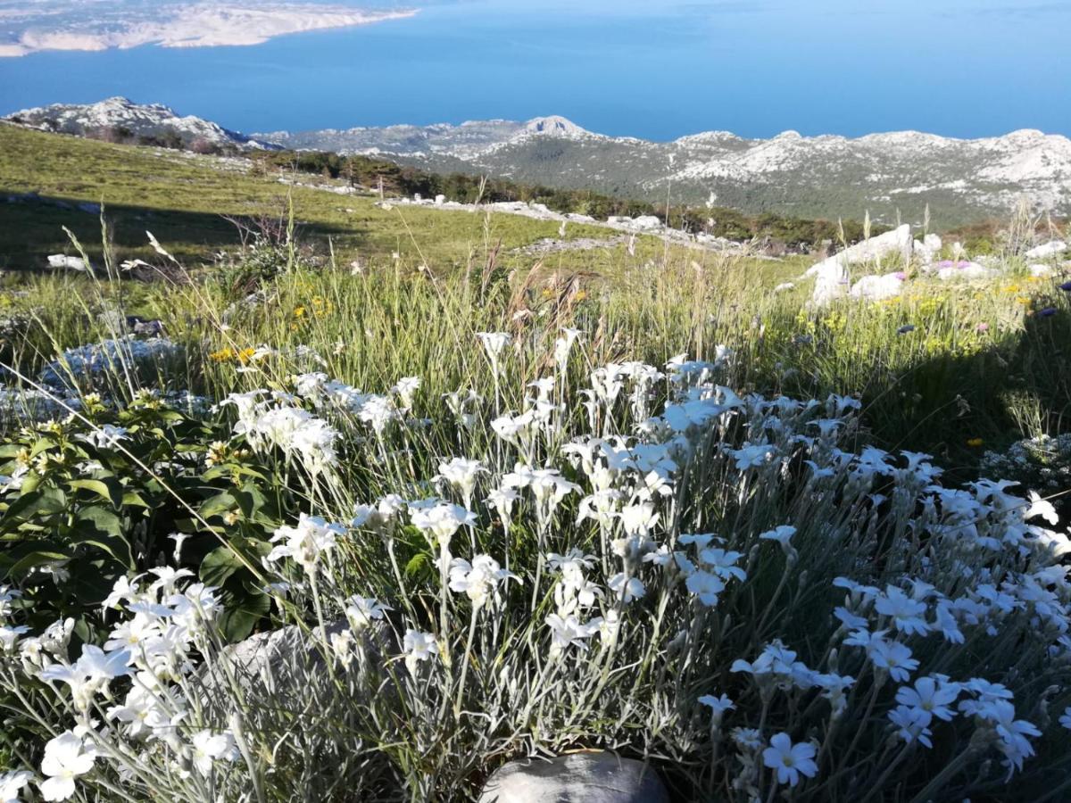 Feral Διαμέρισμα Sveti Juraj Εξωτερικό φωτογραφία