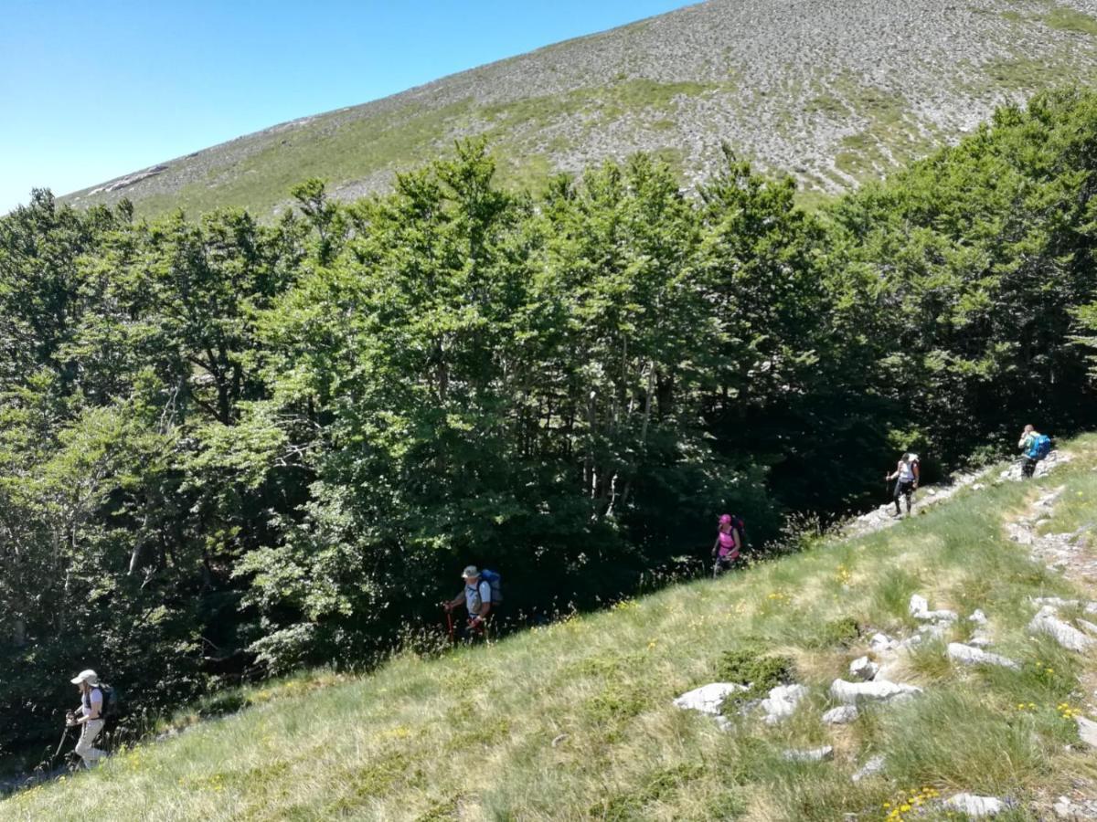 Feral Διαμέρισμα Sveti Juraj Εξωτερικό φωτογραφία